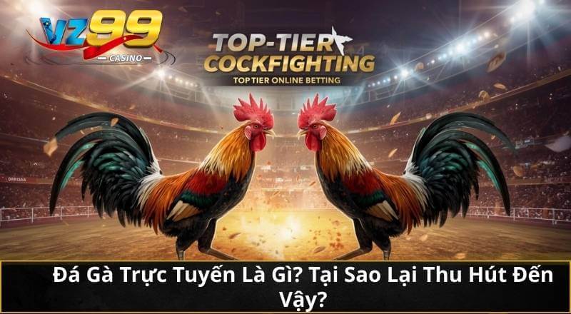 Đá Gà Trực Tuyến Là Gì? Tại Sao Lại Thu Hút Đến Vậy?