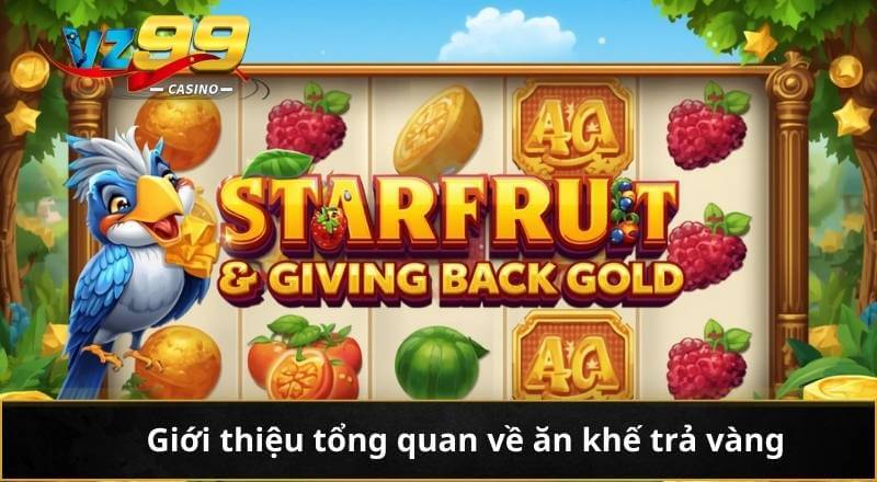 Giới thiệu tổng quan về ăn khế trả vàng